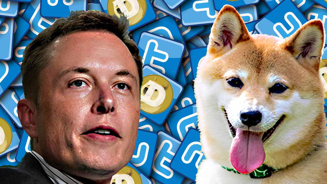 TokenPocket钱包APP官方|DOGE 倡导者 Elon Musk 拥有多少个 SHIB？