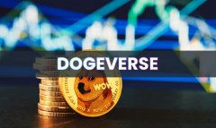 TokenPocket钱包官方|狗狗币价格下滑，但 Dogeverse ICO 两天内筹集了 80 万美元